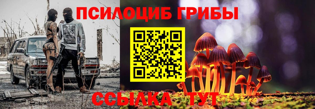 Орехово-Зуево  Галлюциногенные грибы мухоморы  Вход с VPN 